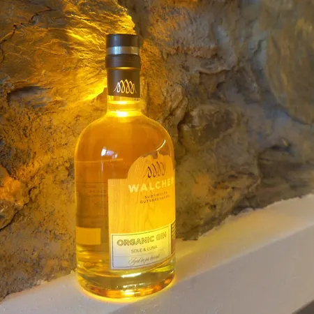 Apartamento Bergidylle Winkler *